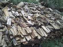 Seasoned firewood stacked for sale